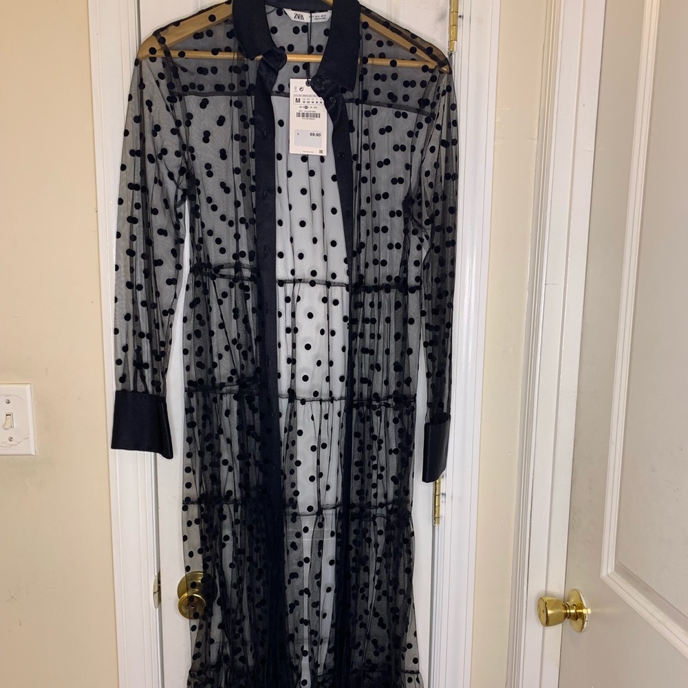 Zara sheer dress